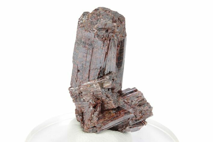 Lustrous, Red-Brown Rutile Crystals - Québec, Canada #247271